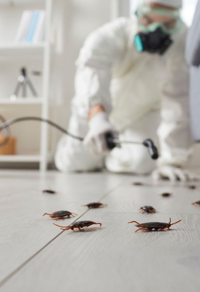 7 Signs You Need To Hire Pest Control Services In Kolkata